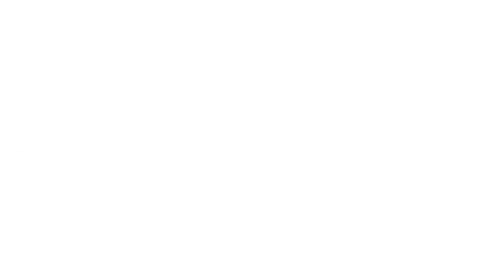 octopus partner logo