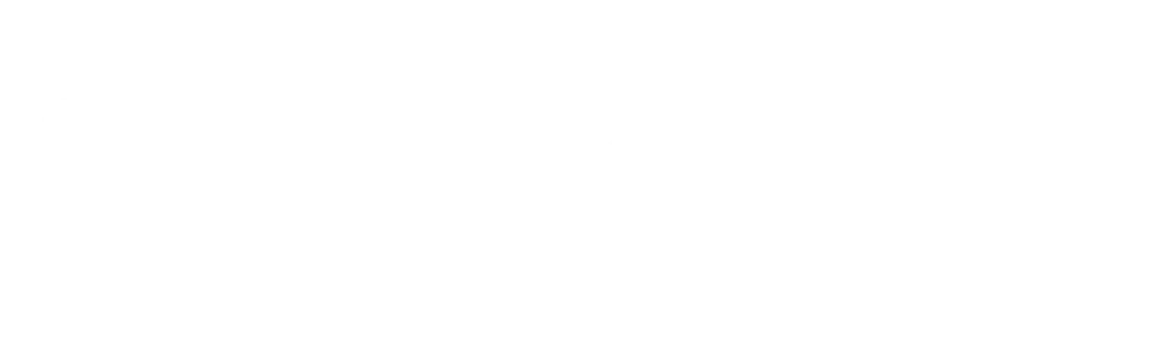 swisscom partner logo